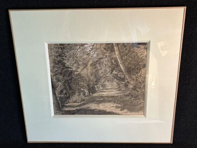une photo d'une photo d'un sentier dans les bois