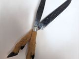 une paire de ciseaux munis de griffes