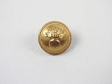 une image représentant un bouton en or orné d'une tête de lion