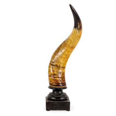 Paire DE Cors, DÉBut DU 20e SIÈCle