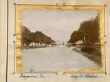 a black and white photo of a street with trees on both sides of the road