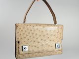 an ostrich leather handbag with an ostrich pattern and a metal clasp