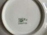 a white plate with a green design on it
