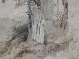 a drawing of a tree in a field with a bird flying by