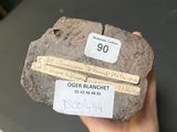 a person holding a rock with a ruler in their hand