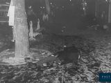black and white photo of a man laying on the ground next to a fire hydrant
