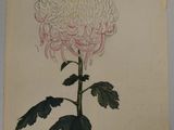 an image of a painting of a white flower with green leaves