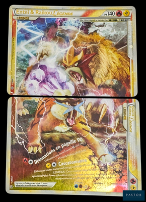 deux cartes Pokémon représentant un lion et un ours