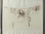 framed drawing of a map of the united states of america