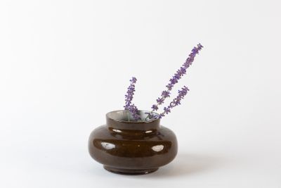 des fleurs violettes dans un vase marron sur fond blanc