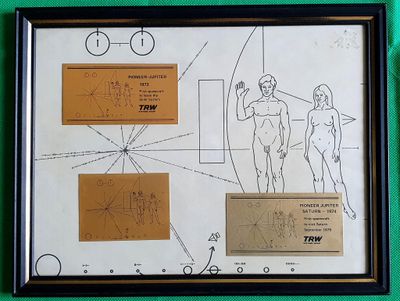une image d'un dessin d'un homme et d'une femme