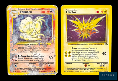 Deux cartes Pokémon sont représentées côte à côte sur un fond noir