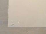 a cat that is sitting in the corner of a room
