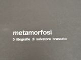 une photo d'un livre intitulé « Metamortosii »