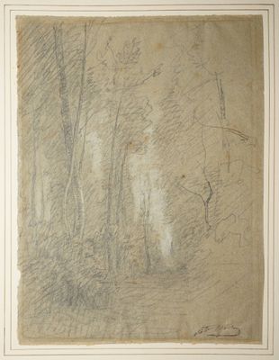 RAVIER François Auguste, 1814-1895, Sous-bois, Dessin à la m… - Photo 1