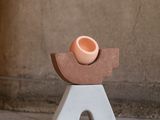un petit oiseau perché sur un petit morceau de bois