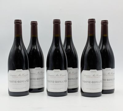 six bouteilles de vin sont alignées sur une surface blanche