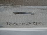 un tableau représentant un poisson accroché au mur