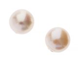 deux perles blanches sur une surface blanche, avec un fond blanc