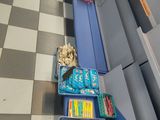 many boxes of books on a conveyor belt in a store