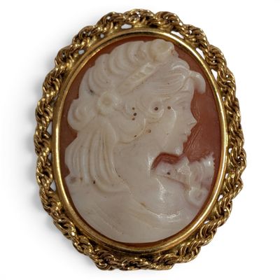 an image of a picture of a woman with a cat in her lapel