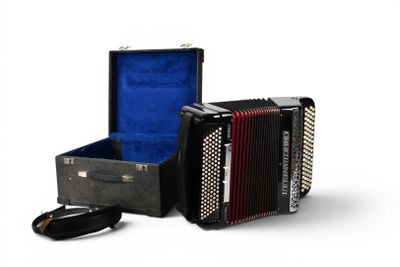 an image of a suitcase with an accordion in it on a white background