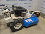an image of a lawn mower parked in a garage