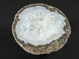 une photo d'un morceau de roche orné d'un motif blanc et doré