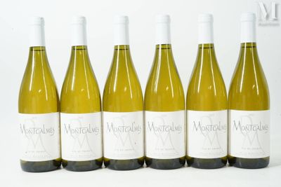 six bouteilles de vin blanc alignées sur une surface blanche