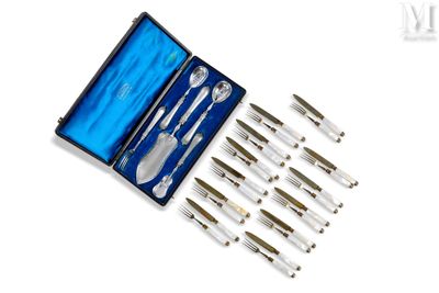 an image of a set of silverware in a blue case