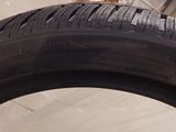 a dog that is standing next to a tire