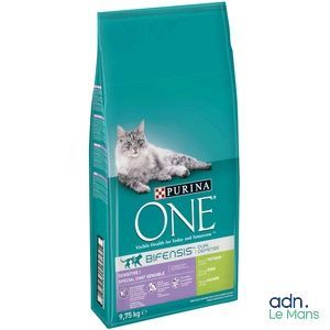 Purina One pour chat adulte, poulet et riz, 2 kg