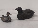 deux canards assis côte à côte dans la neige