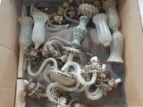 une boîte contenant un certain nombre d'objets