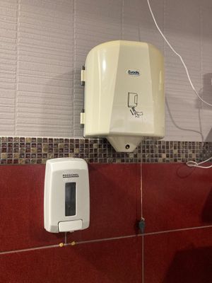 Distributeur à essuie-mains Evadis et à savon Rossignol