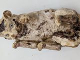 a small sculpture of a cow on a white surface