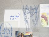 Photo 2/11 du lot