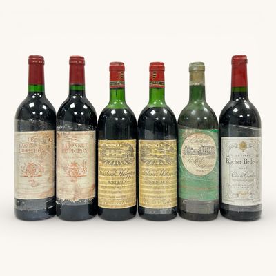 six bouteilles de vin sont alignées sur une surface blanche