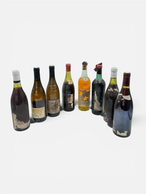 Lot de 8 bouteilles de vin dont deux bouteilles de vin blanc…