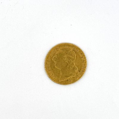 gros plan d'une pièce d'or sur une surface blanche