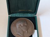 an image of a bronze medal in a green box on a white surface