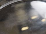 a metal pan with some food inside of it