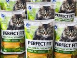plusieurs sacs de nourriture pour chat posés sur une table