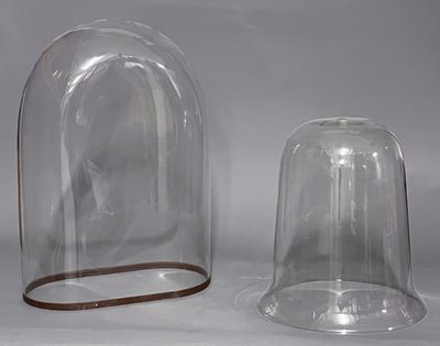 deux cloches en verre posées l'une à côté de l'autre sur une table