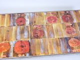 a picture of a tray with a lot of different things on it
