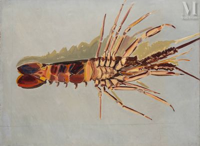 une peinture à l'huile représentant une crevette sur fond blanc