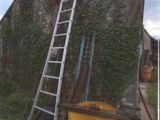 une échelle appuyée contre un immeuble recouvert de lianes