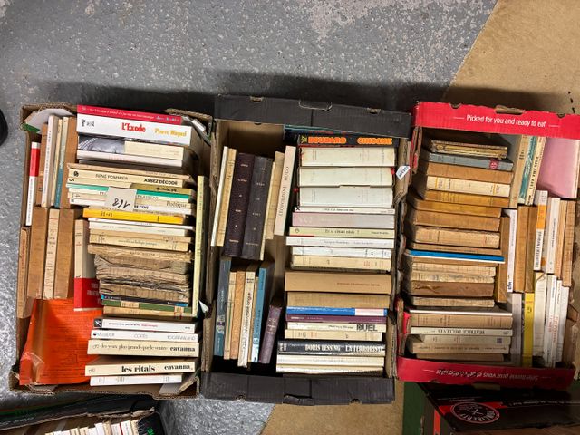3 cartons de littérature, roman…