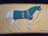 une photo d'une photo d'un cheval avec une couverture