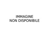 Photo 1/1 du lot